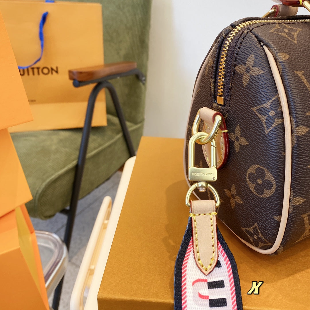 LV Louis Vuitton Speedy Bag