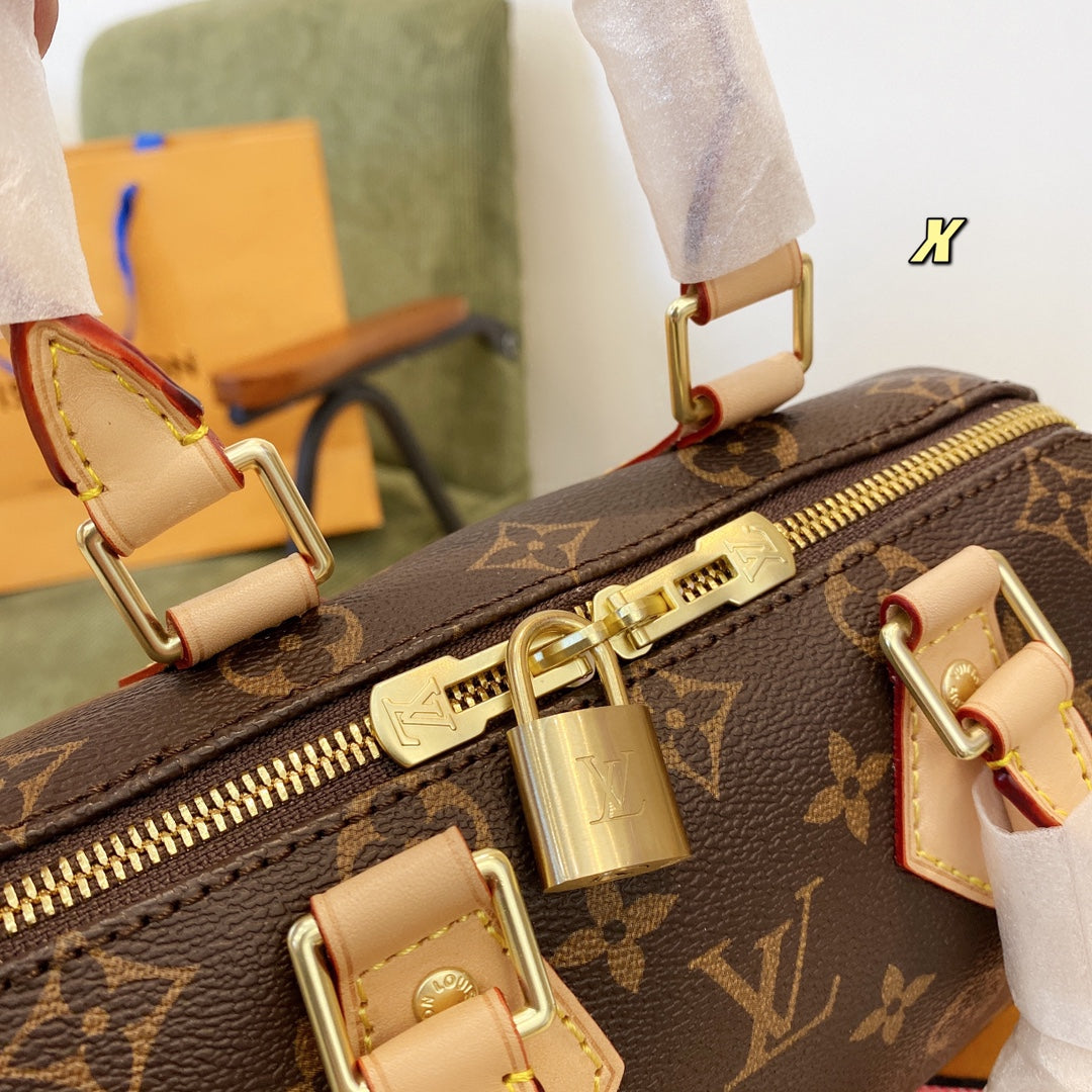 LV Louis Vuitton Speedy Bag