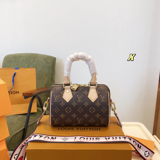 LV Louis Vuitton Speedy Bag